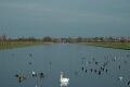 Long Water
