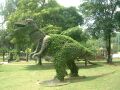 PKL Park